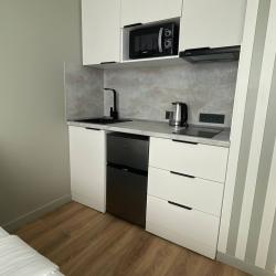 фото 4 Апартаменты BAFY HOME (БАФИ ХОУМ) на проспекте Ленинский