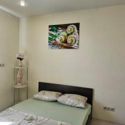 1-комнатные апартаменты студия