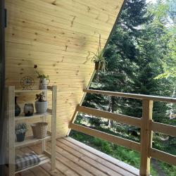 Фото Отель Счастливый лось