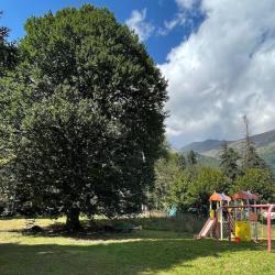 Фото Отель Банковская Дача