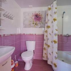 Фото Отель Роман