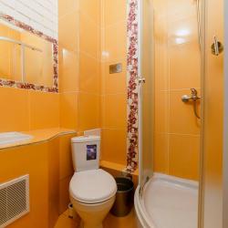 Фото Отель Родина