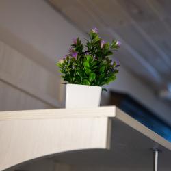 Номер студия