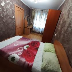 Фото Апартаменты на улице Кирова 17