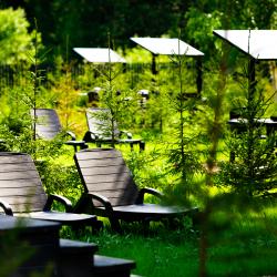 Коттедж с 1 спальней и сауной