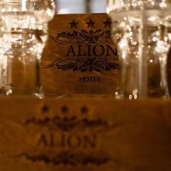 фото 41 Alion (Алион)