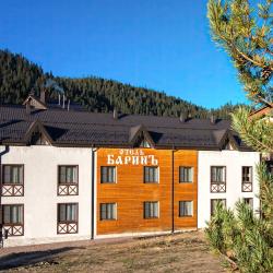 Фото Отель Баринъ