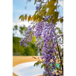 Фото Отель Шале Восточное