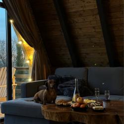 A-Frame 1