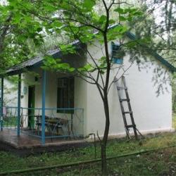 Коттедж эконом с 4 односпальными кроватями