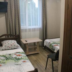 Фото Отель Двин