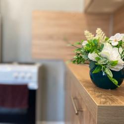 Апартаменты студия