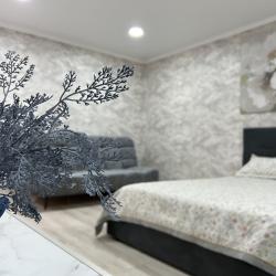 Фото Апартаменты на переулке Белинского 45