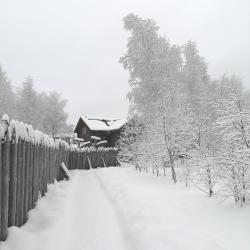 Фото Отель Гостевой дом Окулова Заимка