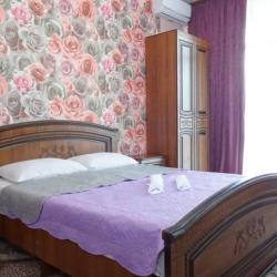 Фото Отель Гостевой дом Аринс Парк