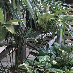 Фото Отель Alaku Hotel (Алаку)