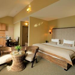 Фото Отель Spa-hotel La Terrassa (Ла Террасса)