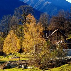 Фото Отель ПихтаHouse (ПихтаХаус)