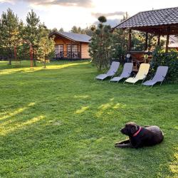 Фото Отель BraunHouse (Браун Хаус)