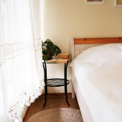 Фото Отель Золотой Гусь