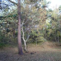 Фото Отель Дом Рыболова