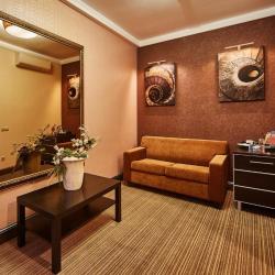 Номер люкс премиум с 1 двуспальной кроватью