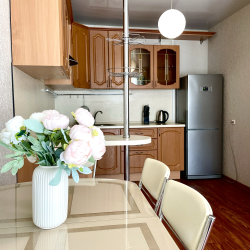 Фото Апартаменты на улице Пугачёвская 20