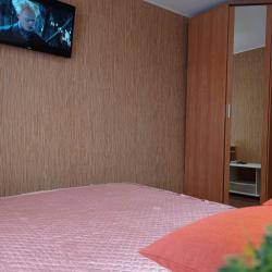 Фото Апартаменты на улице Плеханова 39