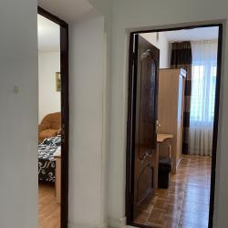 Горгиппия — f69408e4d4e9da9b12971cc0d2a67202
