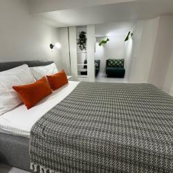 Апартаменты люкс гостиничный комплекс Радуга 10И