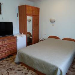 2-местный номер стандарт с 1 двуспальной кроватью