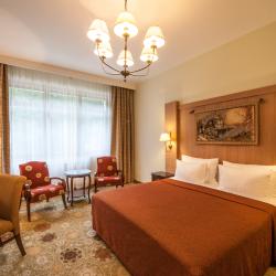 Номер делюкс с 1 двуспальной кроватью