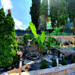 Фото Отель Атлант