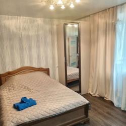 Фото Апартаменты на улице Воровского 71