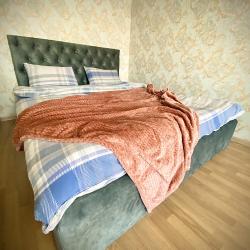 Фото Отель Rental Family Rooms (Рентал Фэмили) на улице Владимира Невского 25/3