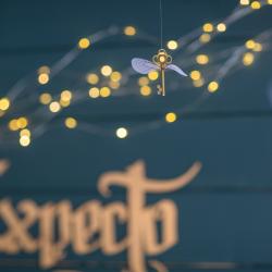 Коттедж стандарт Слизерин