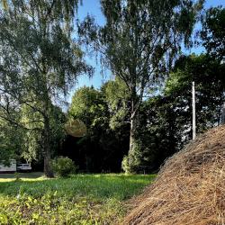 Фото Отель Загородный таунхаус