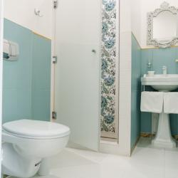 Provence стандарт №10