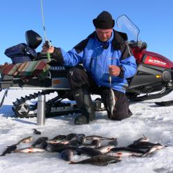 Фото Отель Тридевятое царство