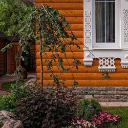 Коттедж премиум