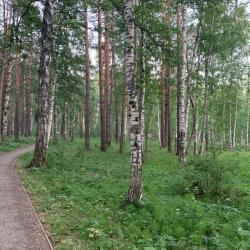 Фото Отель Astrea (Астрея) в микрорайоне Светлый 7