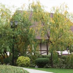 Фото Отель Лунежские горы