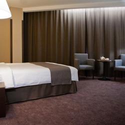 фото 21 Gorskiy City Hotel (Горский сити отель)