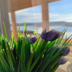 Фото Отель Панорама