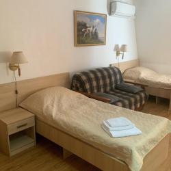 Номер люкс семейный (мансарда)