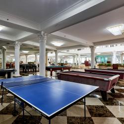 фото 16 Vnukovo Village Park Hotel & SPA (Внуково Вилладж)