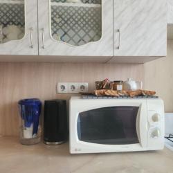 Фото Апартаменты на улице Волкова 60/12