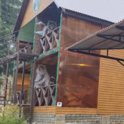 Фото Отель Тайга-House (Хаус)