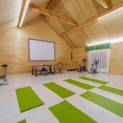 Фото Отель Муза Рузы