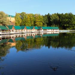 Фото Отель Лесная Сказка